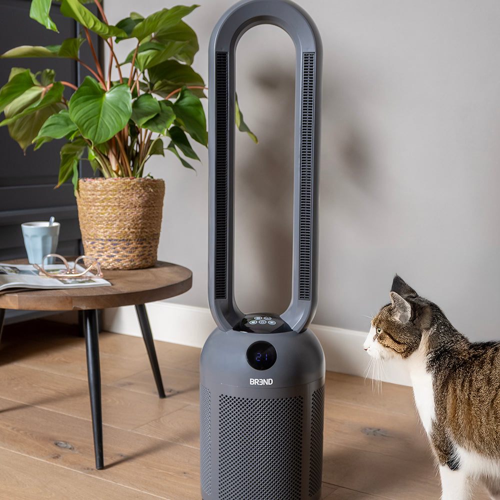 Kat kijkt naar de grijze bladloze ventilatorkachel in de woonkamer